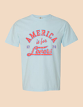 America is for Lovers